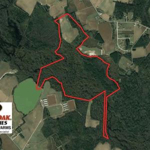 Photo of UNDER CONTRACT!  190 Acres of Residential Farm and Timber Land for Sale in Columbus County NC!