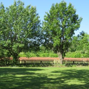 Photo of UNDER CONTRACT!  190 Acres of Residential Farm and Timber Land for Sale in Columbus County NC!