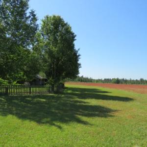 Photo of UNDER CONTRACT!  190 Acres of Residential Farm and Timber Land for Sale in Columbus County NC!