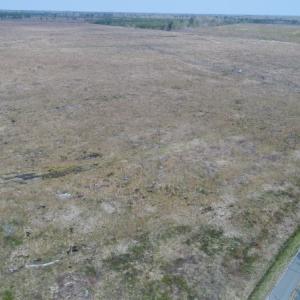 Photo of UNDER CONTRACT!  219 Acres of Timber Land For Sale In Halifax County NC!