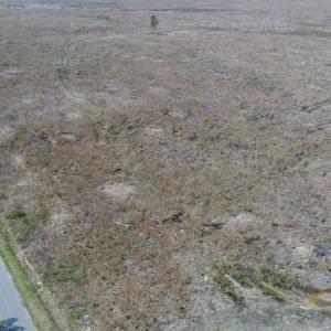 Photo of UNDER CONTRACT!  219 Acres of Timber Land For Sale In Halifax County NC!