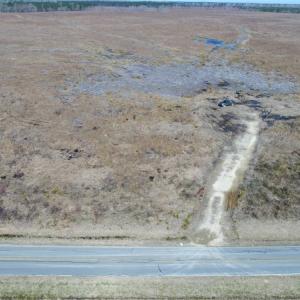Photo of UNDER CONTRACT!  219 Acres of Timber Land For Sale In Halifax County NC!