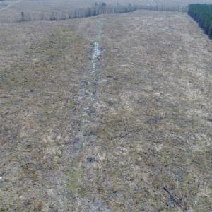 Photo of UNDER CONTRACT!  219 Acres of Timber Land For Sale In Halifax County NC!
