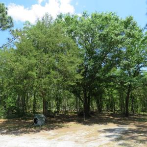 Photo of UNDER CONTRACT!  1.33 Acres with Home For Sale in Sampson County NC!