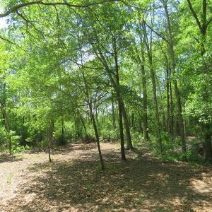 Photo of UNDER CONTRACT!  1.33 Acres with Home For Sale in Sampson County NC!