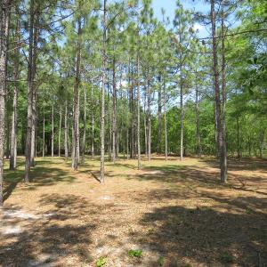 Photo of UNDER CONTRACT!  1.33 Acres with Home For Sale in Sampson County NC!
