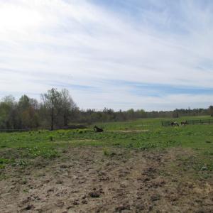 Photo of UNDER CONTRACT!  127 Acres of Residential Equestrian Land For Sale in Spotsylvania County VA!