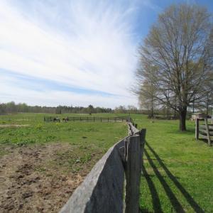 Photo of UNDER CONTRACT!  127 Acres of Residential Equestrian Land For Sale in Spotsylvania County VA!