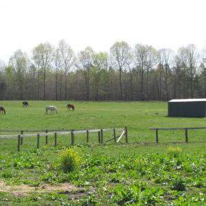 Photo of UNDER CONTRACT!  127 Acres of Residential Equestrian Land For Sale in Spotsylvania County VA!