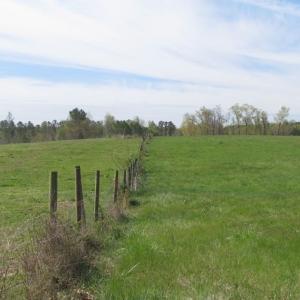 Photo of UNDER CONTRACT!  127 Acres of Residential Equestrian Land For Sale in Spotsylvania County VA!
