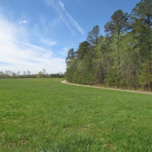 Photo of UNDER CONTRACT!  127 Acres of Residential Equestrian Land For Sale in Spotsylvania County VA!