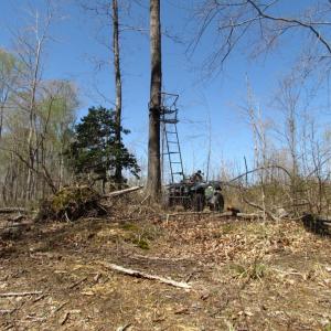Photo of UNDER CONTRACT!  127 Acres of Residential Equestrian Land For Sale in Spotsylvania County VA!