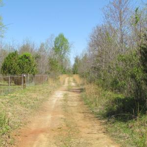 Photo of UNDER CONTRACT!  127 Acres of Residential Equestrian Land For Sale in Spotsylvania County VA!
