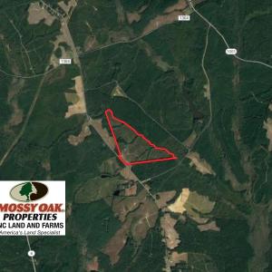 Photo of UNDER CONTRACT!  104.8 Acres of Hunting Land For Sale in Halifax County NC!