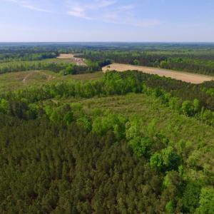 Photo of UNDER CONTRACT!  104.8 Acres of Hunting Land For Sale in Halifax County NC!