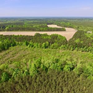 Photo of UNDER CONTRACT!  104.8 Acres of Hunting Land For Sale in Halifax County NC!