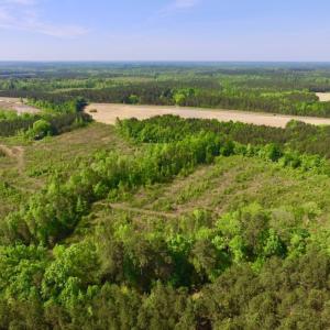 Photo of UNDER CONTRACT!  104.8 Acres of Hunting Land For Sale in Halifax County NC!