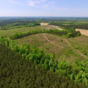 Photo of UNDER CONTRACT!  104.8 Acres of Hunting Land For Sale in Halifax County NC!