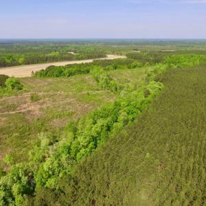 Photo of UNDER CONTRACT!  104.8 Acres of Hunting Land For Sale in Halifax County NC!