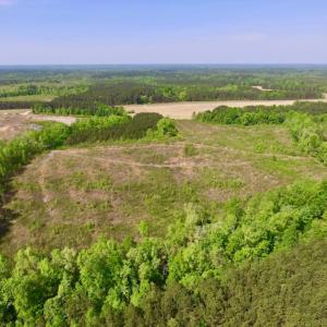 Photo of UNDER CONTRACT!  104.8 Acres of Hunting Land For Sale in Halifax County NC!