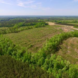 Photo of UNDER CONTRACT!  104.8 Acres of Hunting Land For Sale in Halifax County NC!