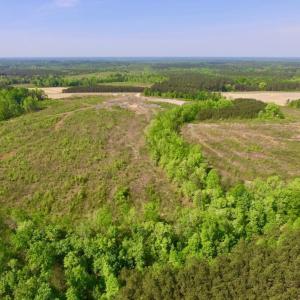 Photo of UNDER CONTRACT!  104.8 Acres of Hunting Land For Sale in Halifax County NC!