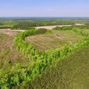 Photo of UNDER CONTRACT!  104.8 Acres of Hunting Land For Sale in Halifax County NC!