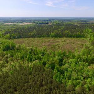 Photo of UNDER CONTRACT!  104.8 Acres of Hunting Land For Sale in Halifax County NC!
