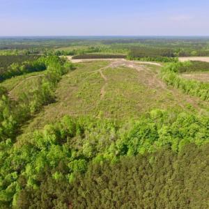 Photo of UNDER CONTRACT!  104.8 Acres of Hunting Land For Sale in Halifax County NC!