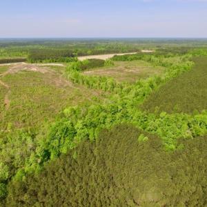 Photo of UNDER CONTRACT!  104.8 Acres of Hunting Land For Sale in Halifax County NC!