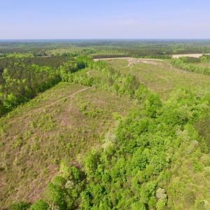 Photo of UNDER CONTRACT!  104.8 Acres of Hunting Land For Sale in Halifax County NC!