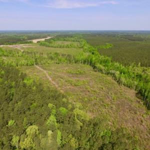 Photo of UNDER CONTRACT!  104.8 Acres of Hunting Land For Sale in Halifax County NC!