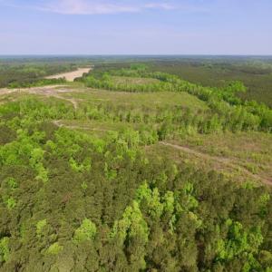 Photo of UNDER CONTRACT!  104.8 Acres of Hunting Land For Sale in Halifax County NC!
