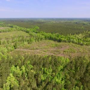 Photo of UNDER CONTRACT!  104.8 Acres of Hunting Land For Sale in Halifax County NC!