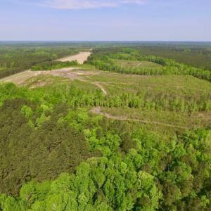Photo of UNDER CONTRACT!  104.8 Acres of Hunting Land For Sale in Halifax County NC!