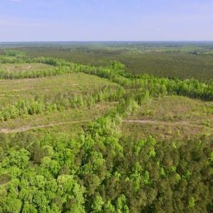 Photo of UNDER CONTRACT!  104.8 Acres of Hunting Land For Sale in Halifax County NC!