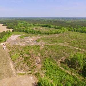 Photo of UNDER CONTRACT!  104.8 Acres of Hunting Land For Sale in Halifax County NC!