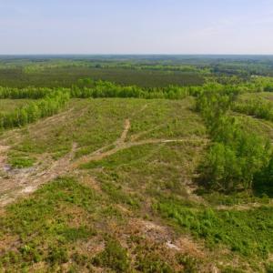 Photo of UNDER CONTRACT!  104.8 Acres of Hunting Land For Sale in Halifax County NC!