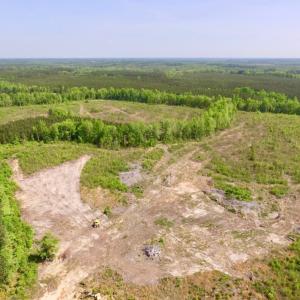 Photo of UNDER CONTRACT!  104.8 Acres of Hunting Land For Sale in Halifax County NC!