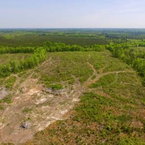 Photo of UNDER CONTRACT!  104.8 Acres of Hunting Land For Sale in Halifax County NC!