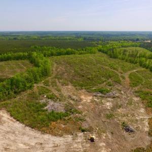 Photo of UNDER CONTRACT!  104.8 Acres of Hunting Land For Sale in Halifax County NC!