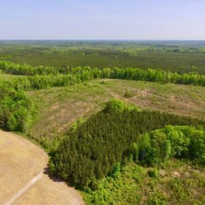 Photo of UNDER CONTRACT!  104.8 Acres of Hunting Land For Sale in Halifax County NC!