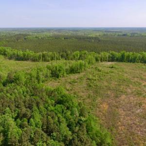 Photo of UNDER CONTRACT!  104.8 Acres of Hunting Land For Sale in Halifax County NC!