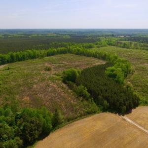 Photo of UNDER CONTRACT!  104.8 Acres of Hunting Land For Sale in Halifax County NC!