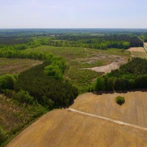 Photo of UNDER CONTRACT!  104.8 Acres of Hunting Land For Sale in Halifax County NC!