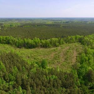 Photo of UNDER CONTRACT!  104.8 Acres of Hunting Land For Sale in Halifax County NC!