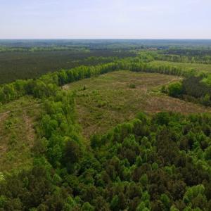 Photo of UNDER CONTRACT!  104.8 Acres of Hunting Land For Sale in Halifax County NC!
