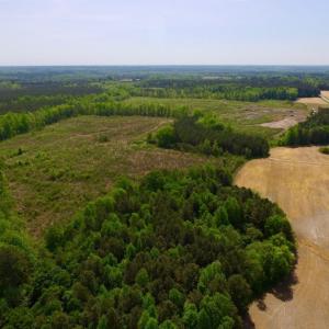 Photo of UNDER CONTRACT!  104.8 Acres of Hunting Land For Sale in Halifax County NC!
