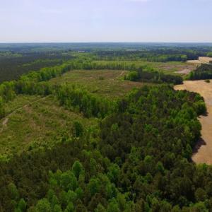 Photo of UNDER CONTRACT!  104.8 Acres of Hunting Land For Sale in Halifax County NC!