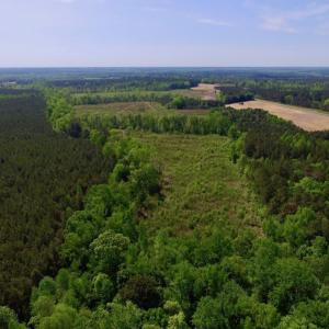Photo of UNDER CONTRACT!  104.8 Acres of Hunting Land For Sale in Halifax County NC!